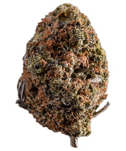 Afghan Kush