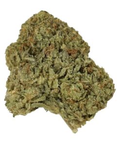 Bubblegum Gelato
