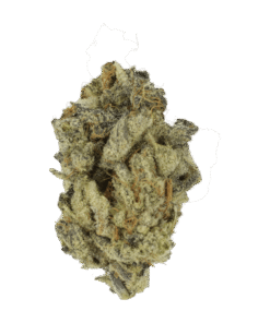 Gorilla Butter