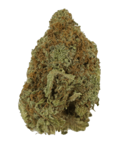 Mango Dream