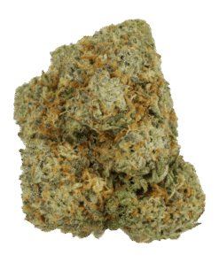 Blue Coma