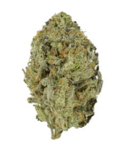 Referral Gift – Free Ounce