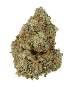 Granddaddy Purple