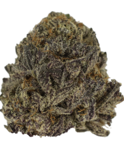 Blue Cherry