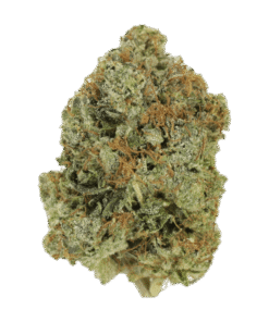 Sour Tangie