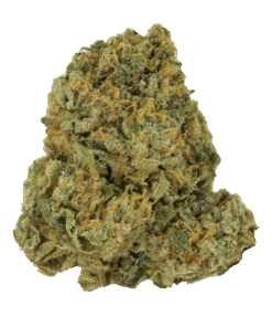 Purple Punch