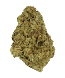 Red Congo