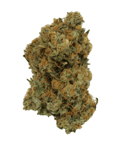 Purple Truffle