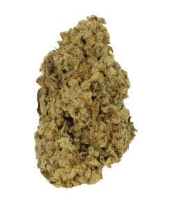 Lemon Dream