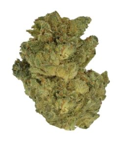 Lemon Gelato