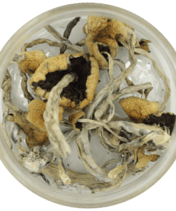 Free 3.5g Mushroom