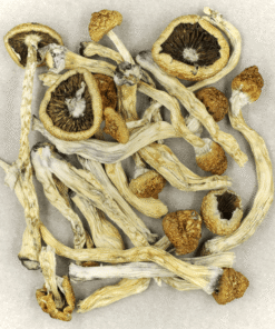 Texas Yellow Cap