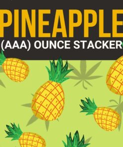 Pineapple 1 OZ Kit