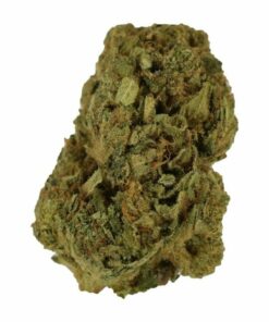 Punch Breath Hybrid