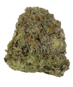 Tropical Zkittlez