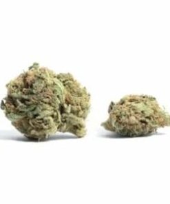 Blueberry Headband (popcorn)
