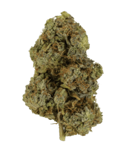 Watermelon Zkittlez