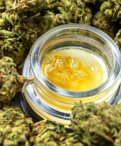 CONCENTRATES