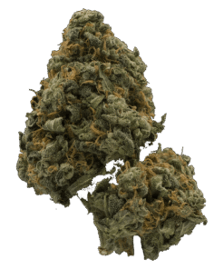 Candy Apple Kush