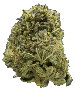 Cookies Kush