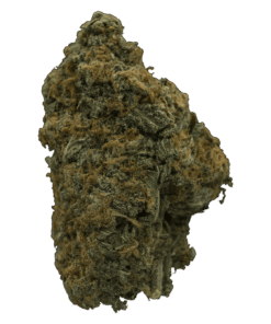 grass-flower-pineapple.png