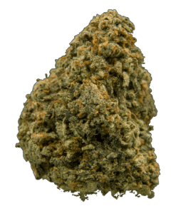 Strawberry Guava