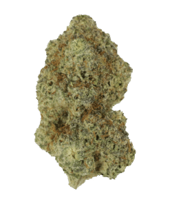 Grease Monkey