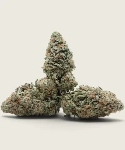 Alaskan Thunder Fuck - Sativa Dominant Hybrid - AA