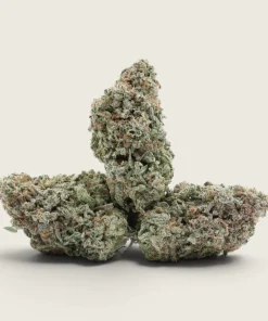 Alaskan Thunder Fuck - Sativa Dominant Hybrid - AAA