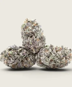 Berner’s Snowman - Sativa Dominant Hybrid - AAA
