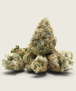 Biscotti - Indica Dominant Hybrid - AAAA - Smalls