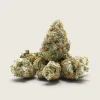 Biscotti – Indica Dominant Hybrid – AAAA – Smalls