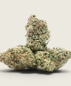 Bruce Banner - Sativa Dominant Hybrid - AAA