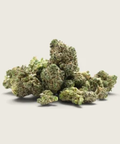 Cherry Punch - Hybrid - AAA - Smalls
