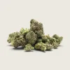 Cherry Punch – Hybrid – AAA – Smalls