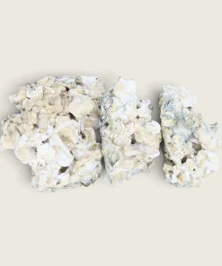 Enigma - Dried Magic Mushrooms