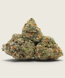 Gelato Dream - Sativa Dominant Hybrid - AAA