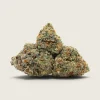 Gelato Dream – Sativa Dominant Hybrid – AAA