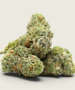 GMO Cookies - Indica Dominant Hybrid - AAA - Smalls
