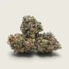Golden Grapes – Indica Dominant Hybrid – AAA