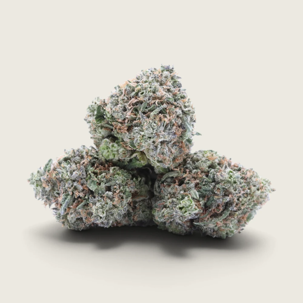 Gorilla Glue #4 - Indica Dominant Hybrid - AAA