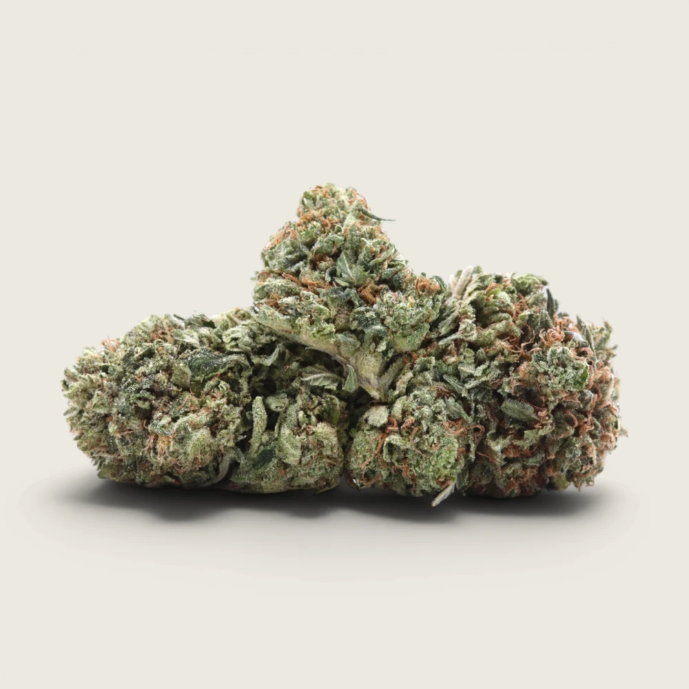 Gorilla Glue - Indica Dominant Hybrid - AA