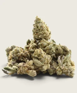 Jealousy Pie – Hybrid – AAAA – Smalls