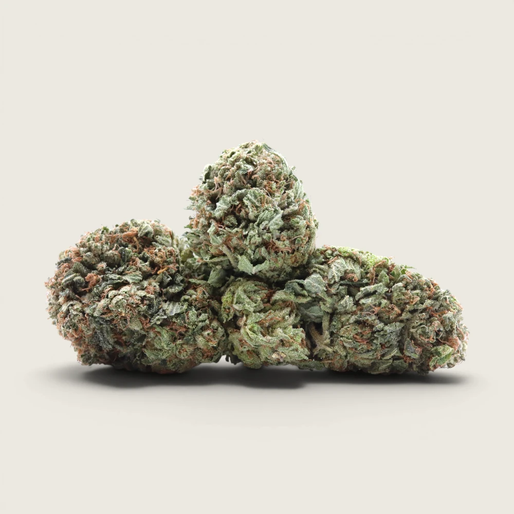 Kalifornia - Indica Dominant Hybrid - AA