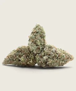 Lemon Jack - Sativa Dominant Hybrid - AA