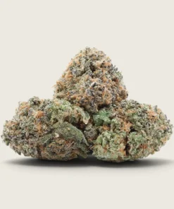 Mimosa - Sativa Dominant Hybrid - AA
