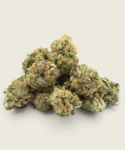 Nepali Queen - Indica Dominant Hybrid - AAA - Smalls