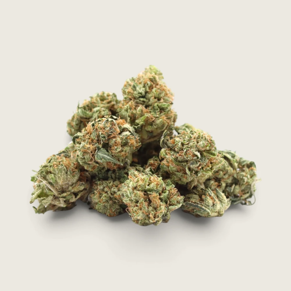 Nepali Queen - Indica Dominant Hybrid - AAA - Smalls
