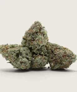 Panama Red - Sativa - AAA