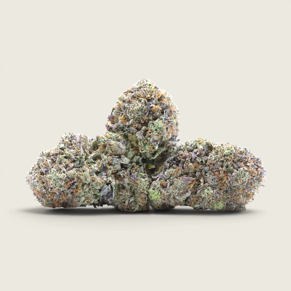 Pink Rockstar - Indica Dominant Hybrid - AAA